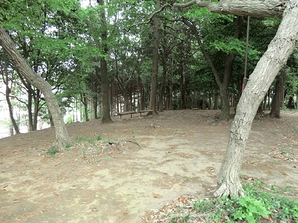 馬場二丁目公園(馬場花木園に隣接する緑豊かな公園。しいやカシの木の大木があり、どんぐり山公園の愛称で親しまれている。)