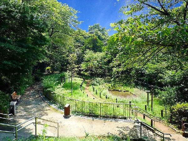 馬場町公園(春には桜が咲き、夏は木漏れ日が気持ち良い自然豊かな公園。散策道があるので、気軽にお散歩が楽しめます。)