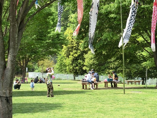 北八朔公園(里山風景を残す穴場の自然公園。夏には蛍も。すぐ裏に港北ＰＡがあるので車好きのお子様に喜ばれます。)