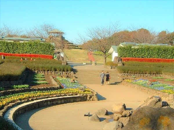 四季の森公園(季節によってさまざまな野花が咲き誇る。ジャンボ滑り台や水遊び可能な池がお子様にも人気の大規模公園です。)